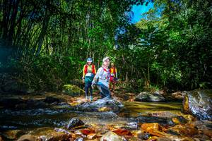 BIB: 
                            <button type="button" onclick="openModal(21765403)" class="btn btn-primary btn-sm float-right btn-popup" data-toggle="modal" data-target=".modal-high-quality">
                        <i class="fas fa-shopping-cart"></i> Add to Cart
                    </button>
                                            <button type="button" onclick="isThisMe(21765403, true)" class="btn btn-success btn-sm float-right btn-popup btn-isme hidden" data-toggle="tooltip" data-placement="bottom" title="นี่คือรูปของคุณใช่ไหม คลิกที่นี่เพื่อเอาเข้าอัลบั้ม">
                        <i class="fas fa-plus"></i> Add to album
                    </button>
                    <button type="button" onclick="isThisMe(21765403, false)" class="btn btn-warning btn-sm float-right btn-popup btn-isnotme hidden">
                        <i class="fas fa-ban"></i> Remove from album
                    </button>